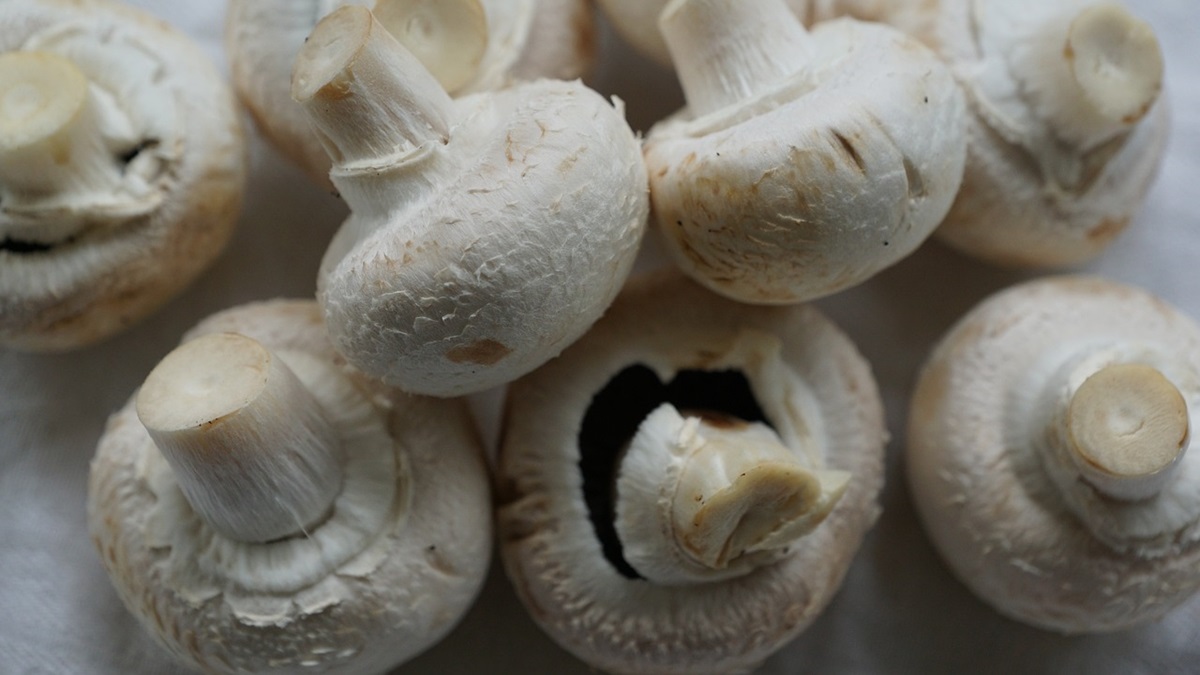 Development and Validation of Innovative Packaging Solutions for Enhanced Mushroom Freshness.jpg